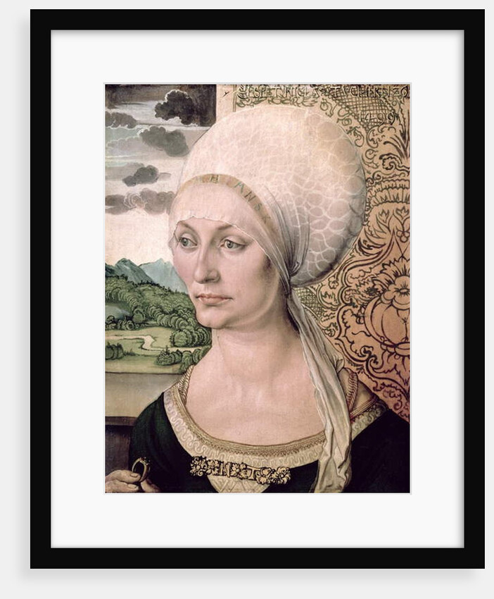 Portrait of Elsbeth Tucher, 1499 by Albrecht Dürer or Duerer