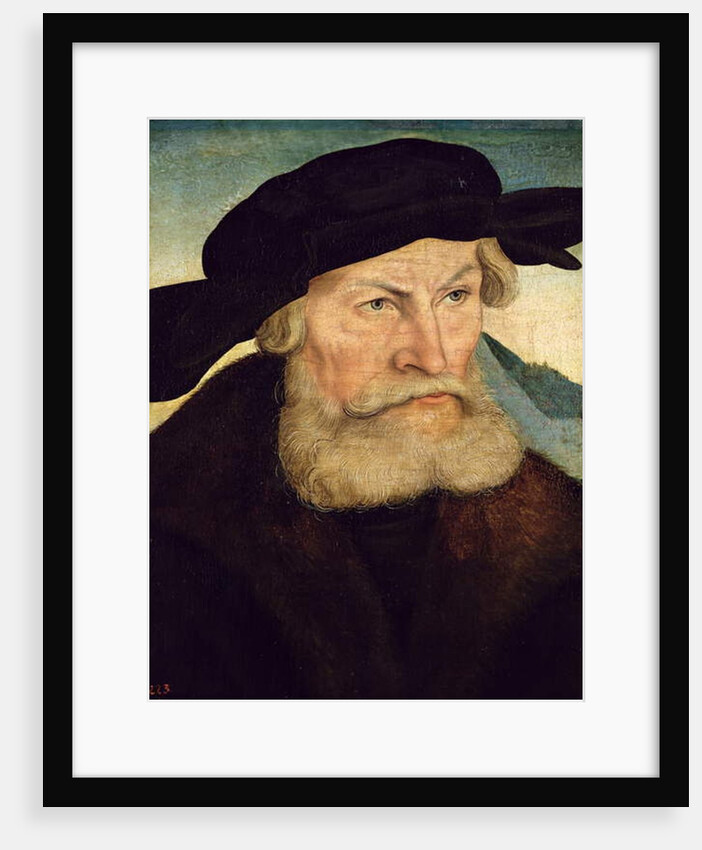 Portrait of Herzog Heinrich the Pious of Saxony c.1528 by Lucas the Elder Cranach