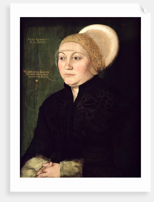 Portrait of Magdalena Neudorffer 1527 by Barthel Beham