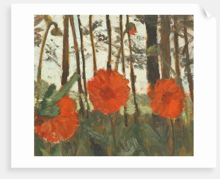 Poppies on the Edge of a Wood by Paula Modersohn-Becker