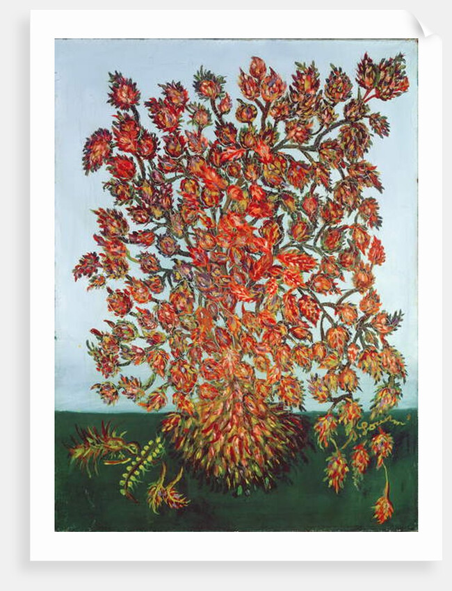 Dream of a Plant by Seraphine (1864-1942) Louis