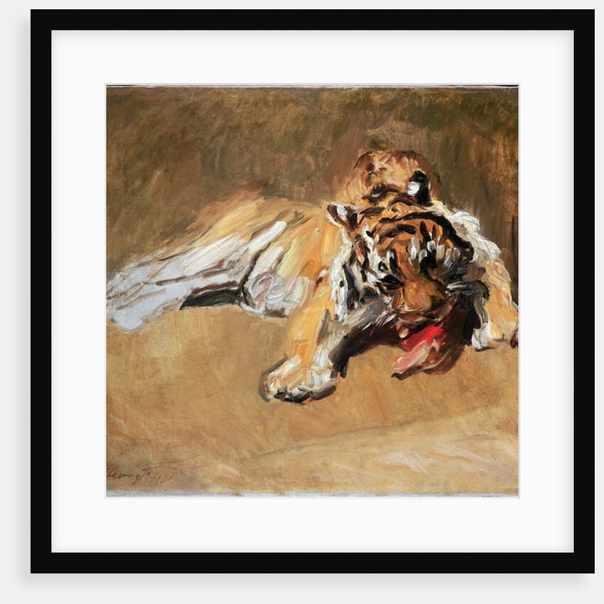 Feeding Tiger, 1901 by Max Slevogt