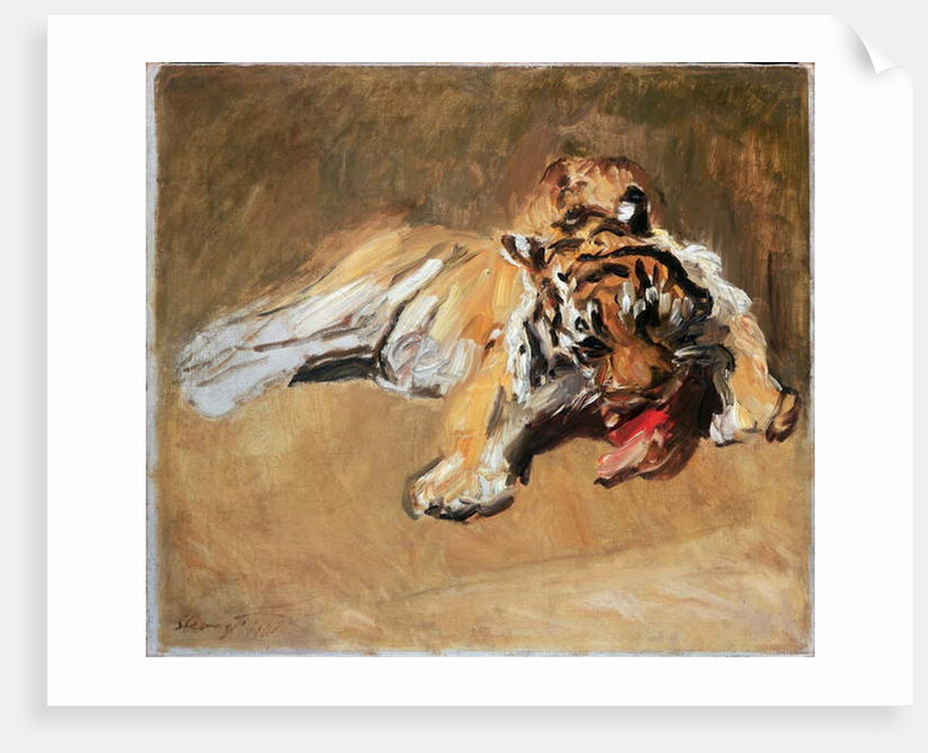Feeding Tiger, 1901 by Max Slevogt