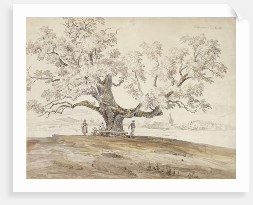 View of Wolfershausen bei Meiningen with an Old Oak Tree, 1844 by Carl Ernst Ludwig Wagner