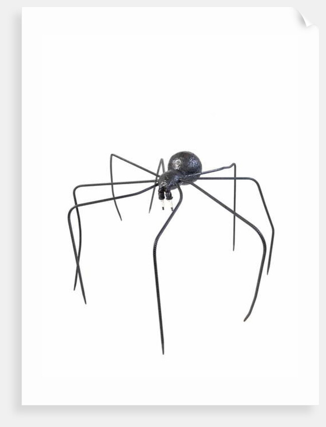 The Black Spider, 2005 by Lawrie Simonson