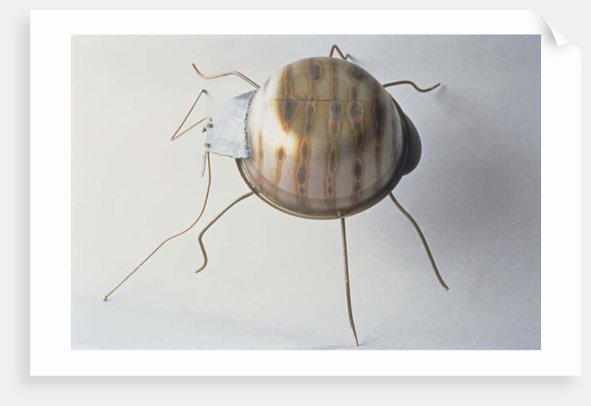The Ground Beetle, 1995 by Lawrie Simonson