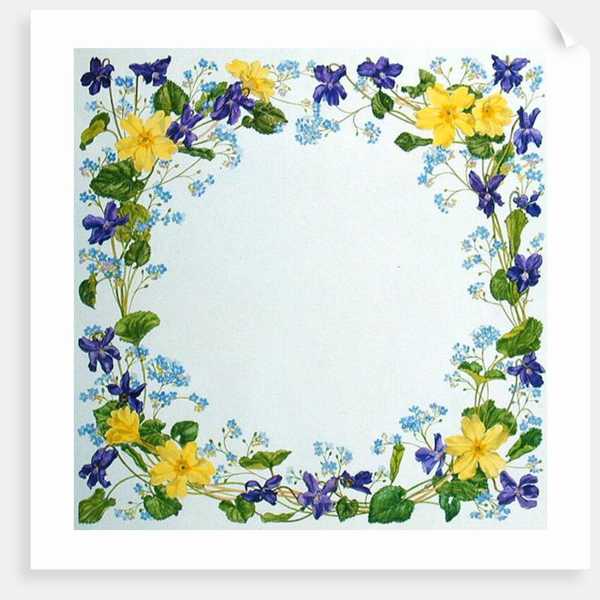 Primrose and Violet Square by Linda Benton