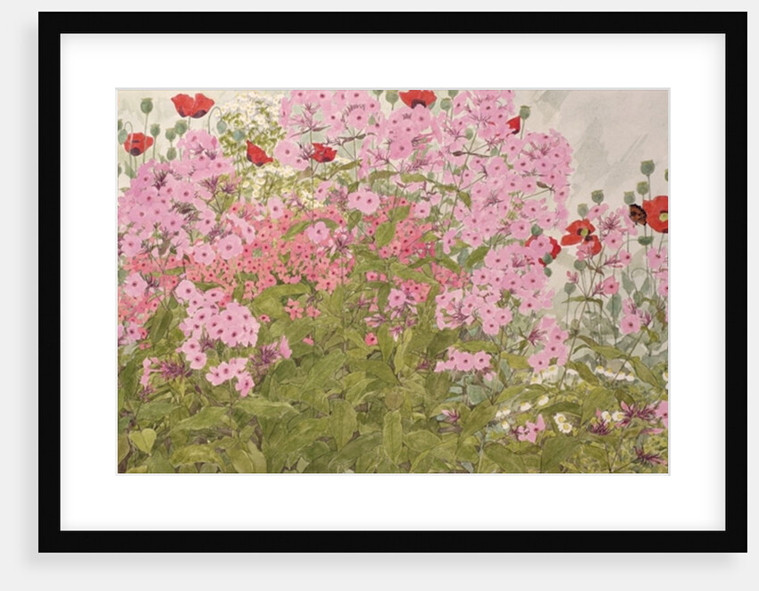 Pink Phlox and Poppies with a Butterfly by Linda Benton