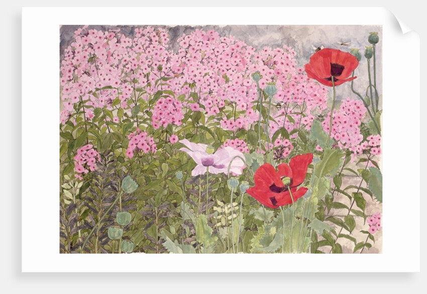 Poppies and Phlox by Linda Benton