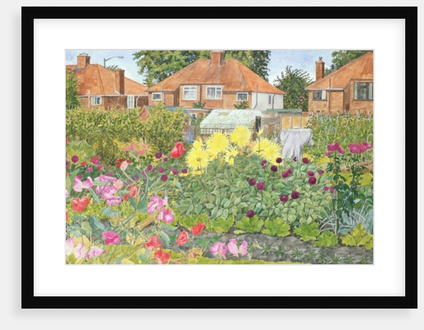 Allotments and Dahlias by Linda Benton