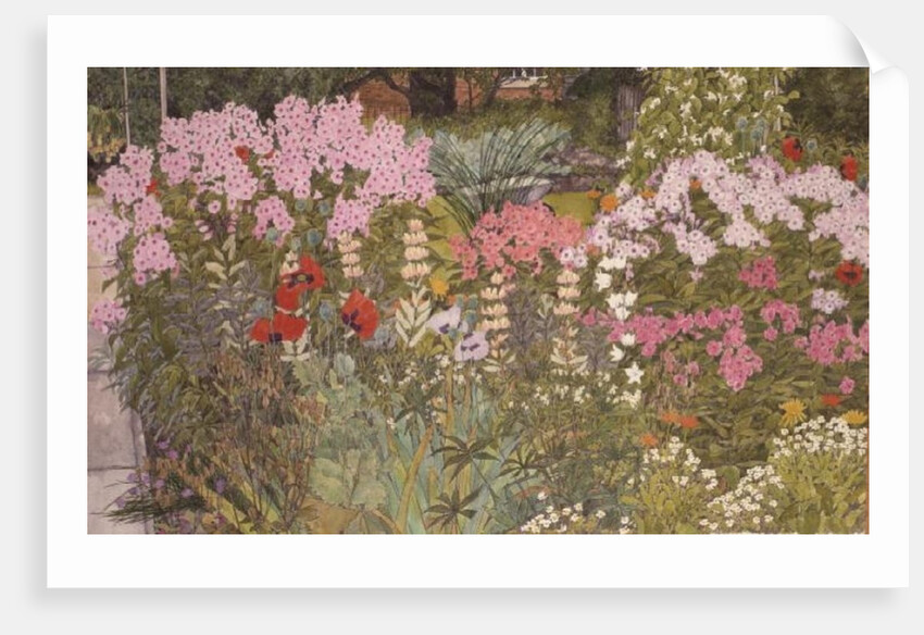 Pink Phlox in the Herbaceous Border by Linda Benton