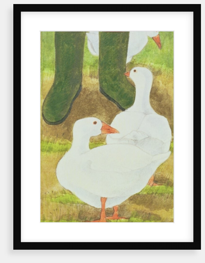 Ducks and Green Wellies by Linda Benton
