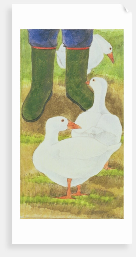Ducks and Green Wellies by Linda Benton