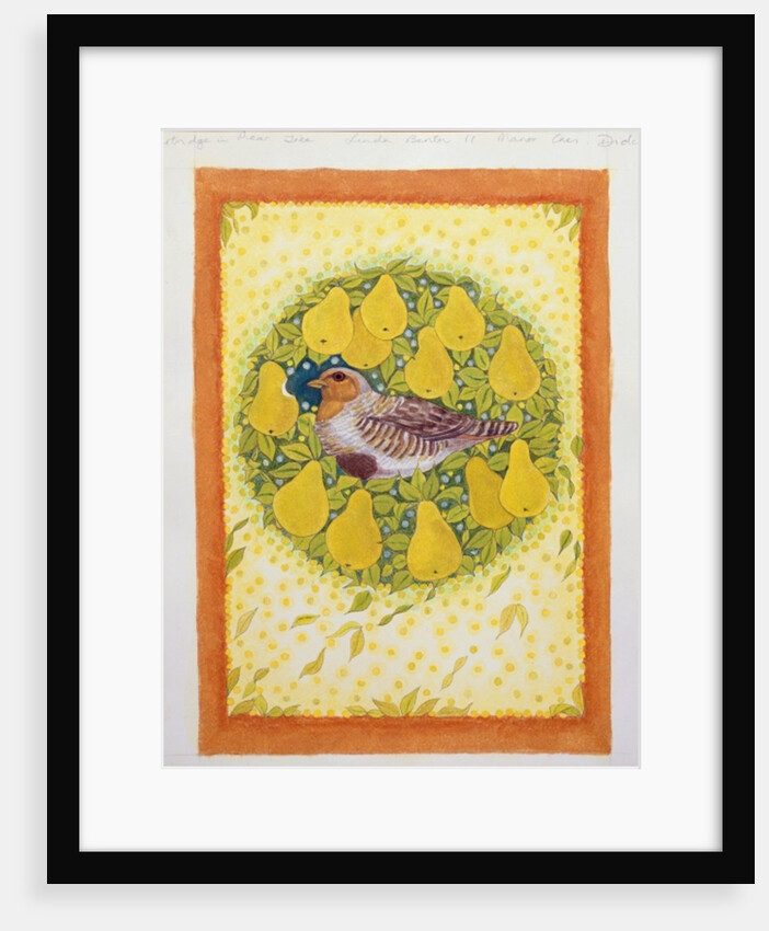 Partridge in a Pear Tree by Linda Benton