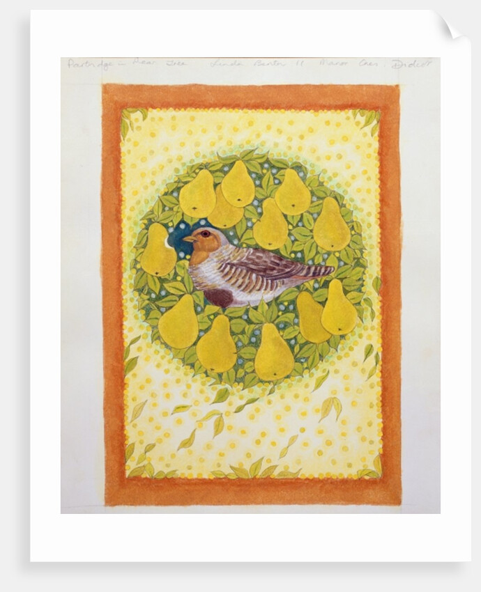 Partridge in a Pear Tree by Linda Benton