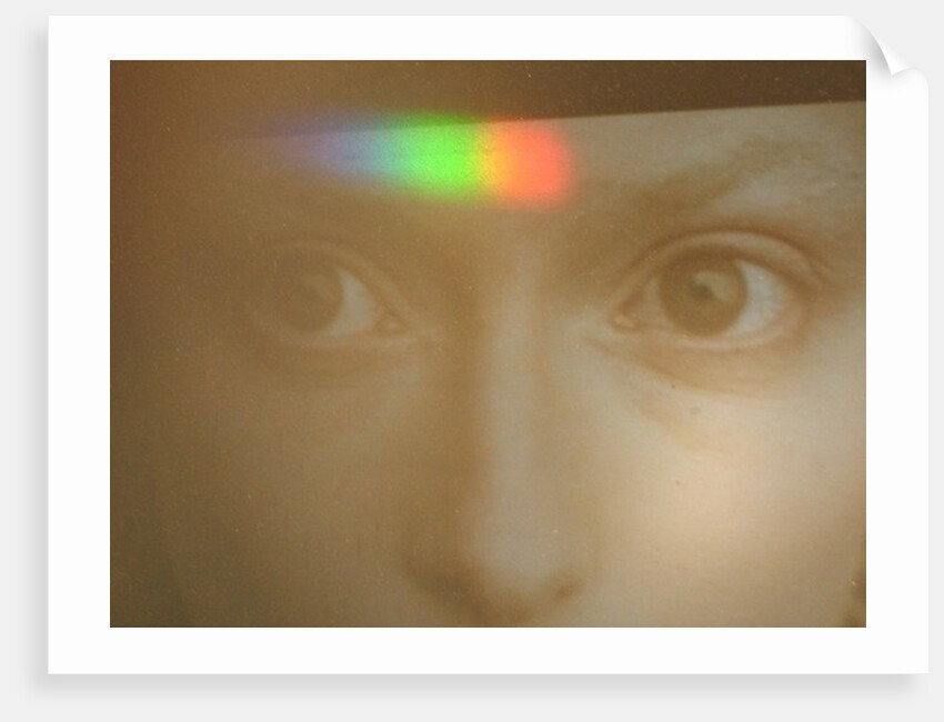 Touched By The Light, 2013 by Lou Gibbs