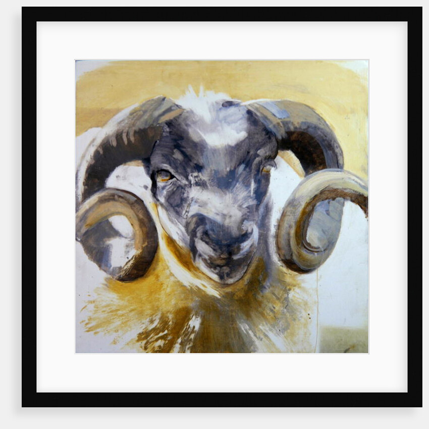 Long Horn Sheep by Lou Gibbs