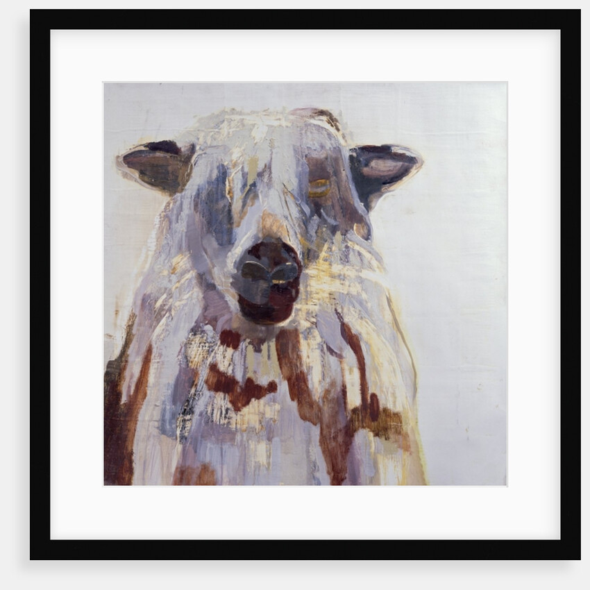 Sheep by Lou Gibbs