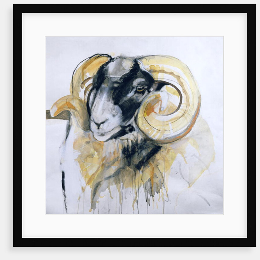 Long Horn Sheep by Lou Gibbs