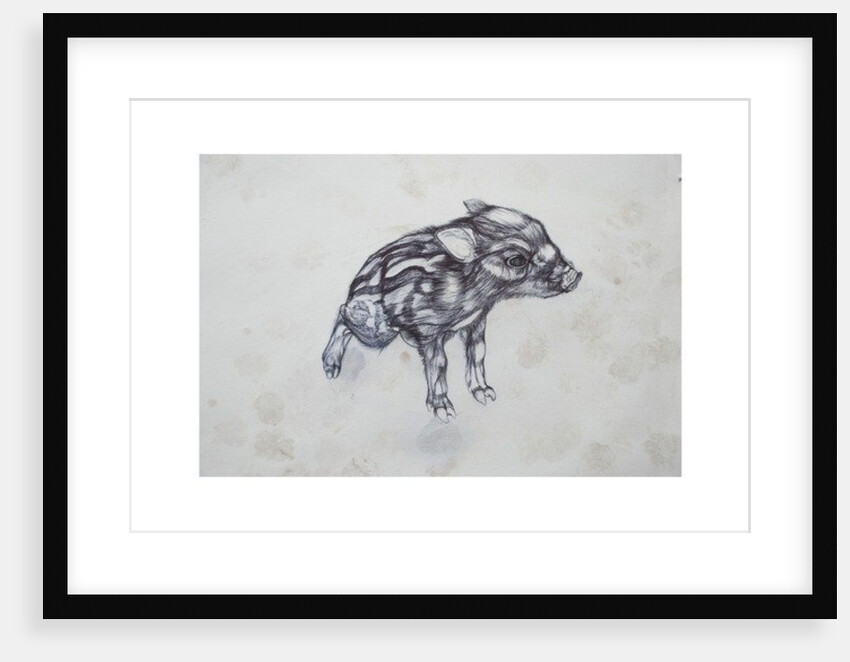 Little Pig, 2015 by Lou Gibbs