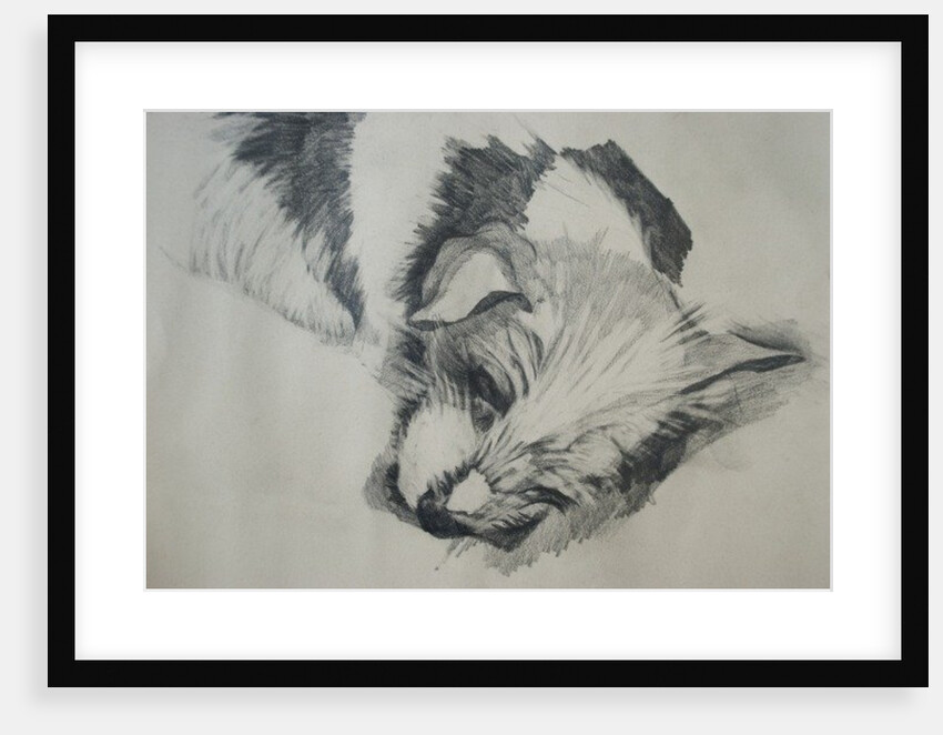 Jack Russel, 2015 by Lou Gibbs