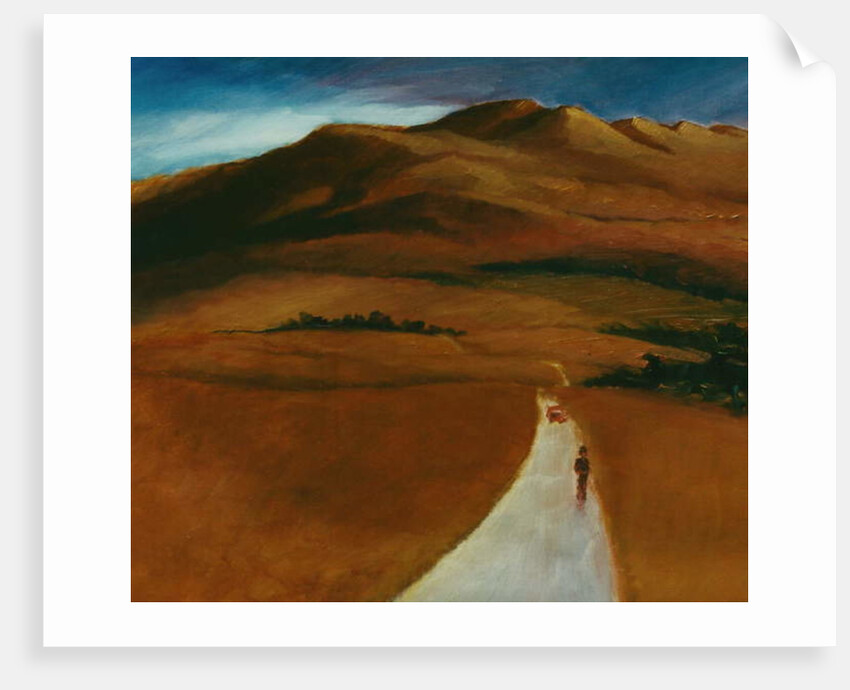 Mr Wright, 1996 Figure in red landscape by Lee Campbell