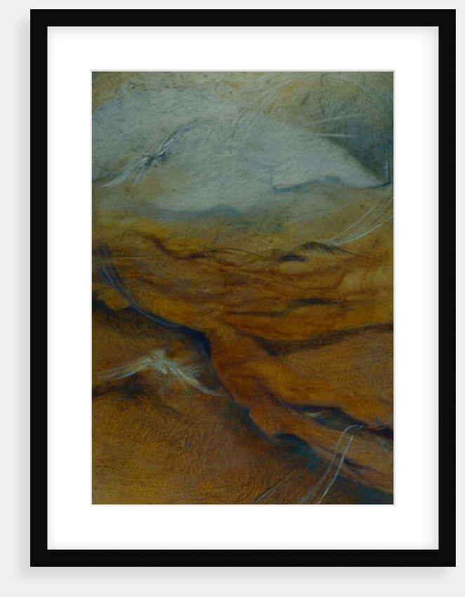 Substratum, 1996 Bird on textured surface by Lee Campbell