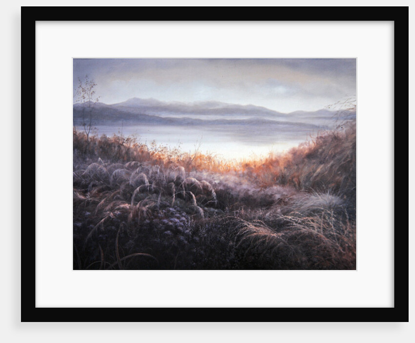 Misty, 2010 Scottish landscape by Lee Campbell