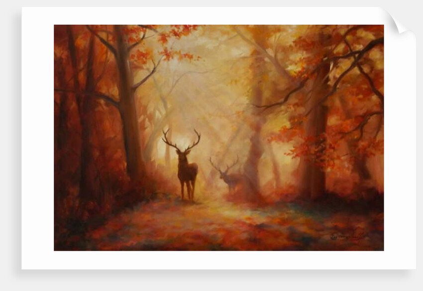 Majesty, 2011 forest deer by Lee Campbell