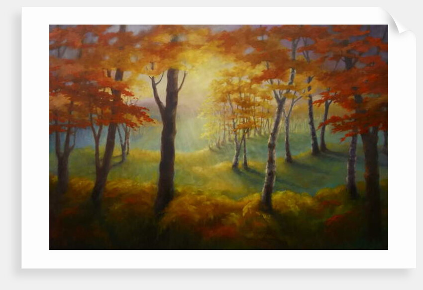 Light at the Edge 2013 Forest by Lee Campbell