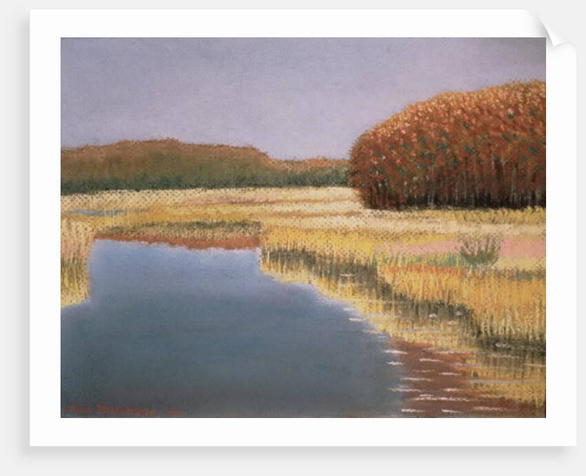 New England Autumn, 1990 by Lillian Delevoryas