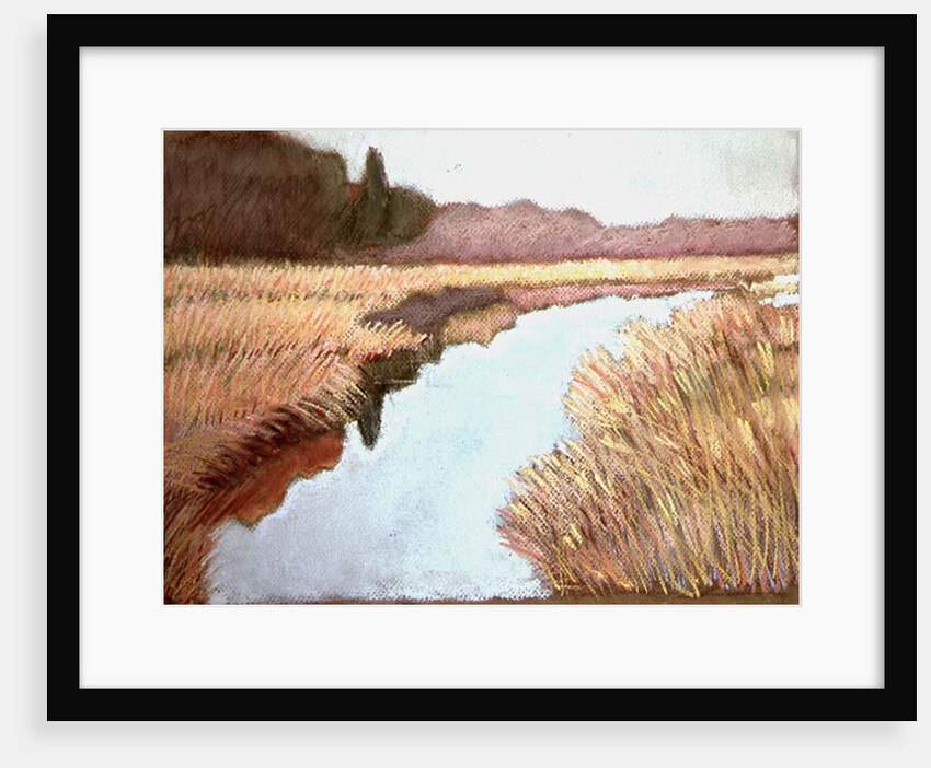 Full Tide, 1990 by Lillian Delevoryas