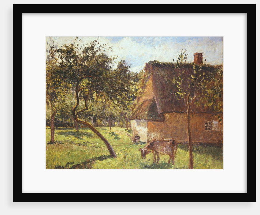 Field at Varengeville, 1899 by Camille Pissarro