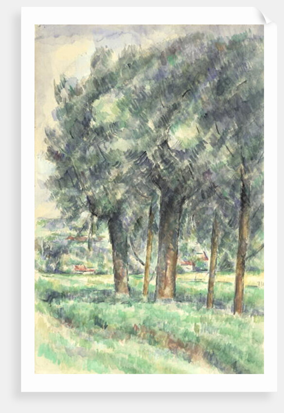 Group of Trees, 1877-80 by Paul Cezanne