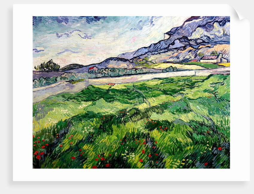The Green Wheatfield behind the Asylum, 1889 by Vincent van Gogh