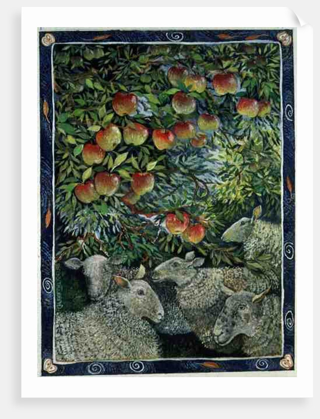 Sheep and Orchard, 1996 by Lisa Graa Jensen