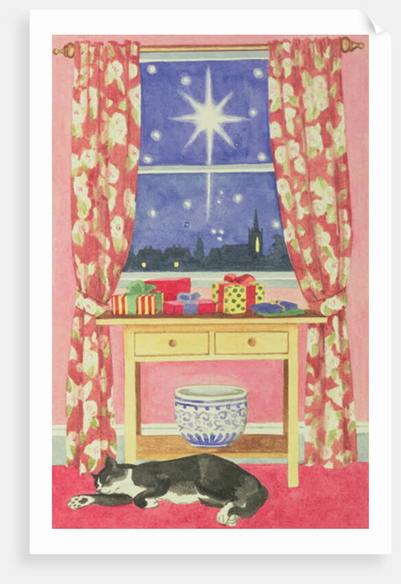 Starry Night by Lavinia Hamer