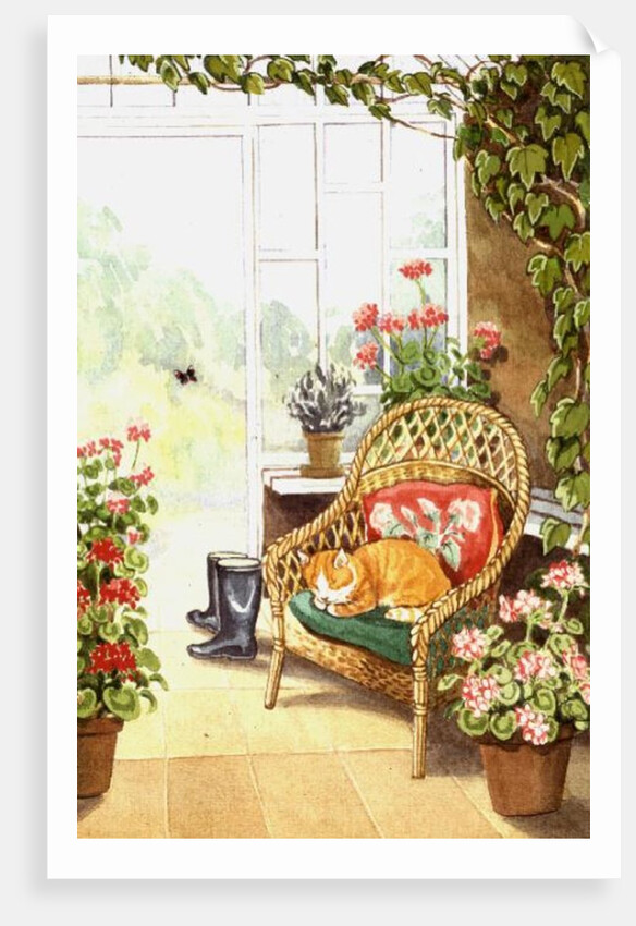 In the Conservatory by Lavinia Hamer