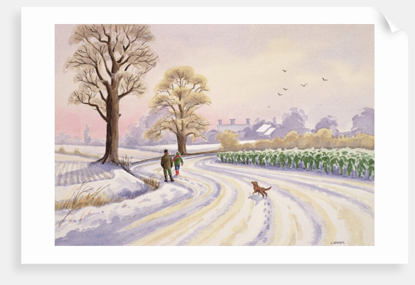 Walk in the Snow by Lavinia Hamer