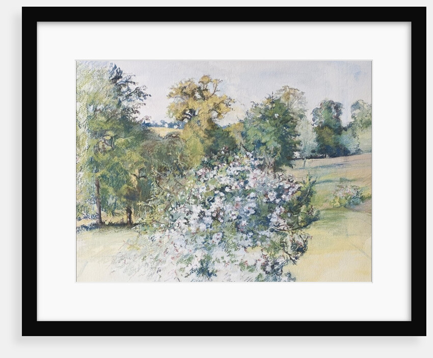 June from Our Window, 2007 by Caroline Hervey-Bathurst