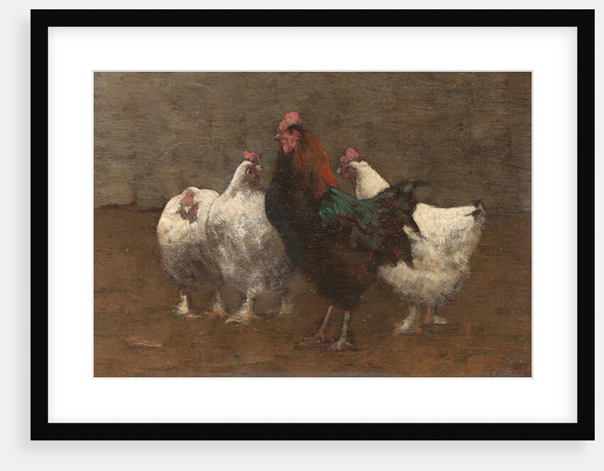 Fowls, 1896 by Horace Mann Livens