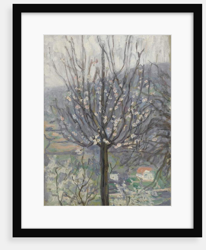 Blossom, early morning by Arthur Haythorne Studd
