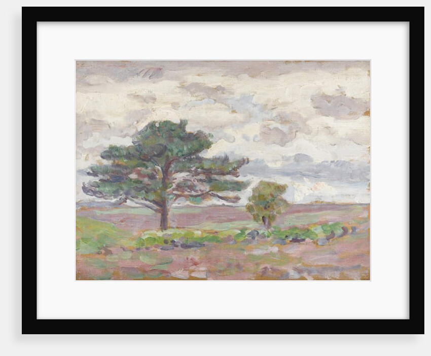 Beech Tree by Arthur Haythorne Studd