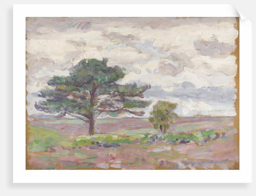 Beech Tree by Arthur Haythorne Studd