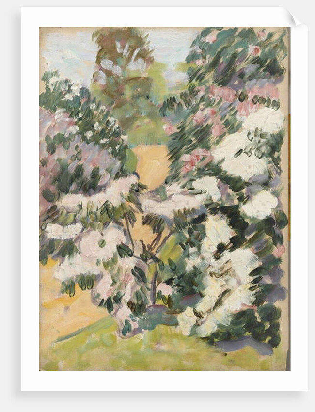 Blossom, c.1900 by Arthur Haythorne Studd