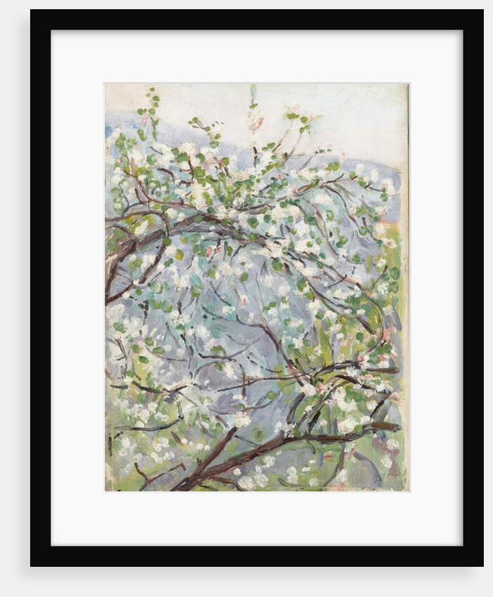 Blossom, c.1900 by Arthur Haythorne Studd