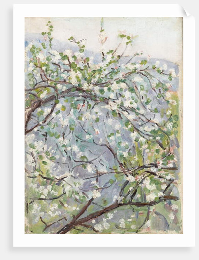 Blossom, c.1900 by Arthur Haythorne Studd