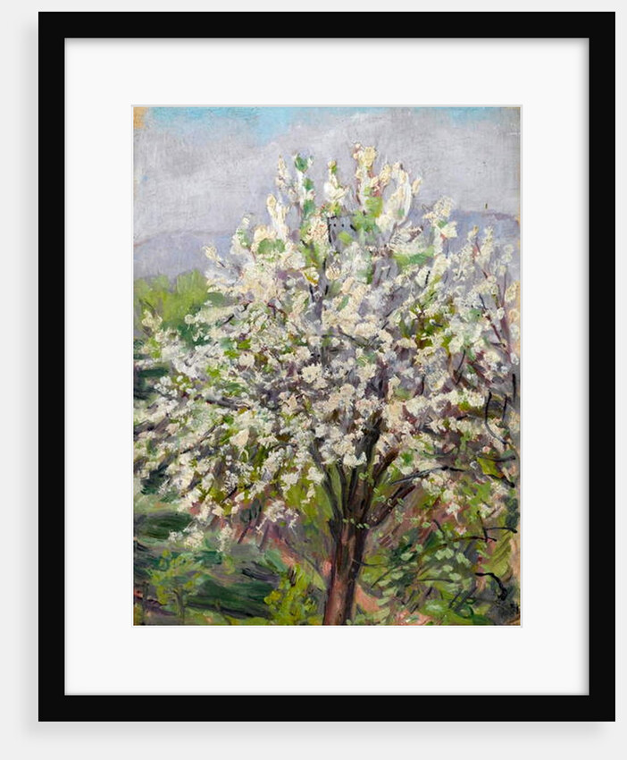 Almond blossom by Arthur Haythorne Studd