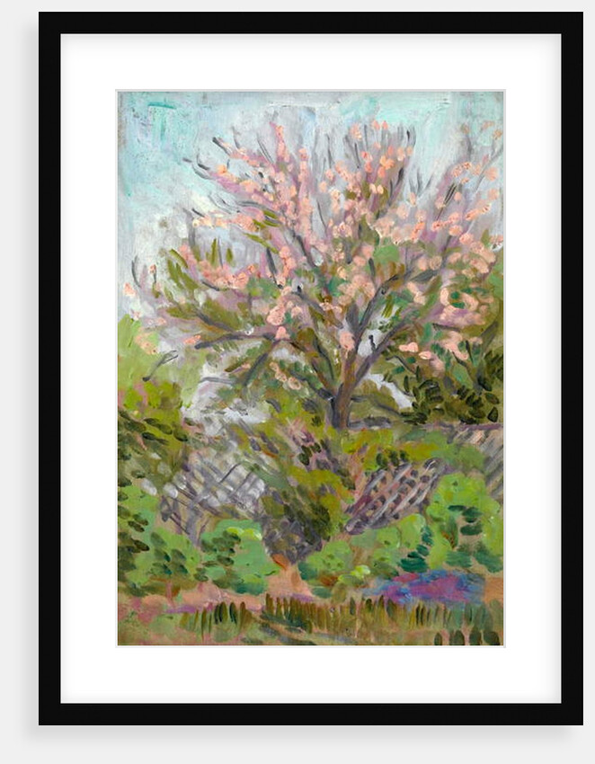 Cherry blossom with trellis fence below by Arthur Haythorne Studd