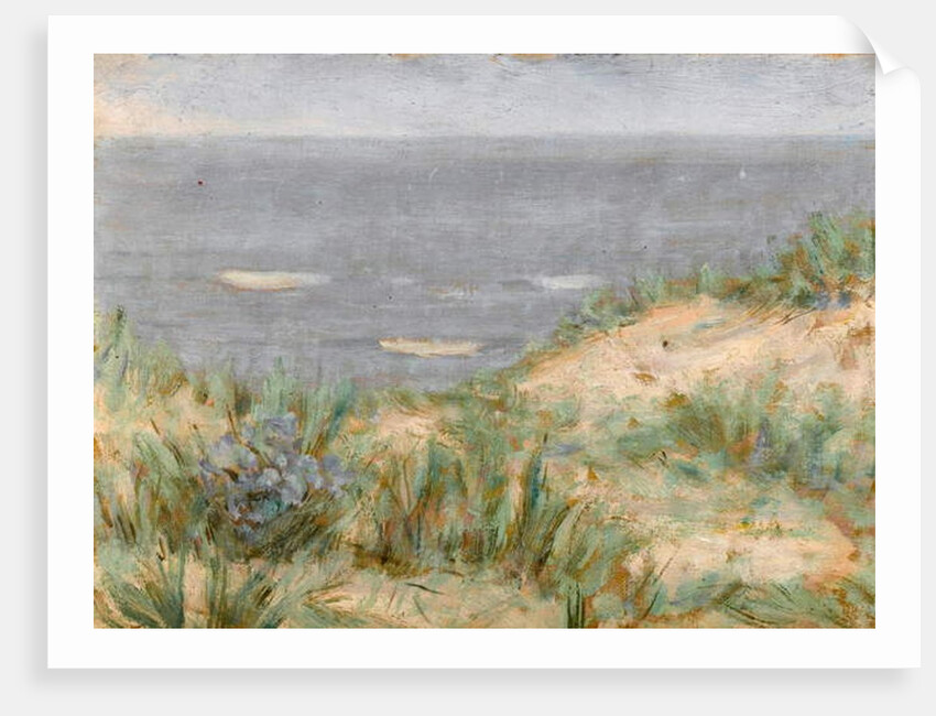 Seaview with Dunes, flowering seagrass, c.1900 by Arthur Haythorne Studd